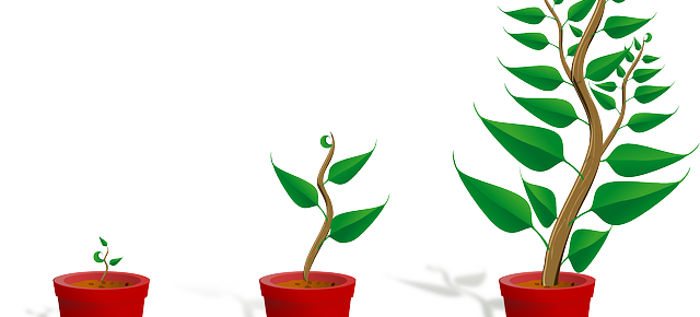 side-hustle-potential